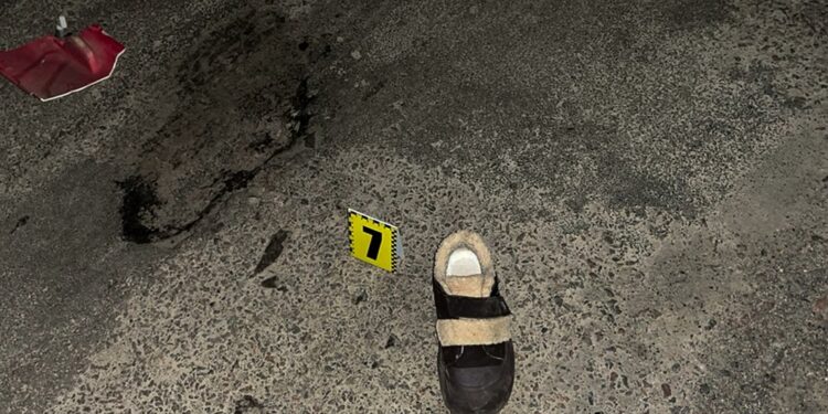 Збив жінку-пішохода та втік з місця ДТП – на Миколаївщині шукають транспортний засіб та водія (ФОТО)