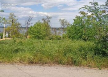 Жителя Миколаєва підозрюють у пособництві в підробці документа та шахрайстві з землею державного лісового фонду