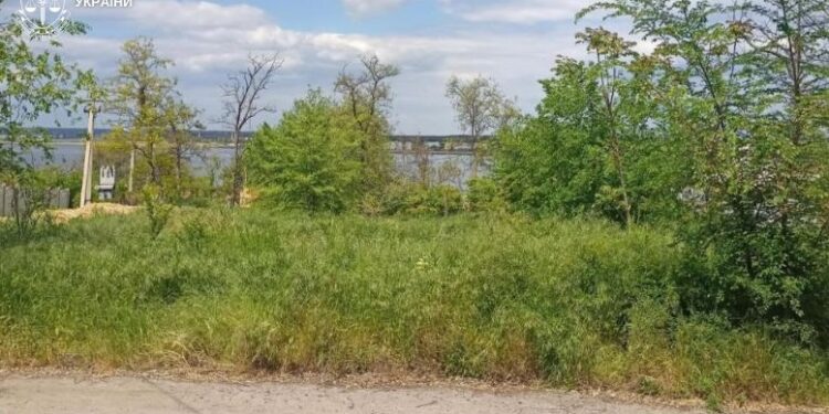 Жителя Миколаєва підозрюють у пособництві в підробці документа та шахрайстві з землею державного лісового фонду