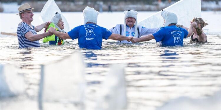 У Німеччині в рамках крижаного фестивалю “Берлінські морські котики” плавали серед льоду (ФОТО)