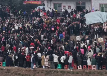 Китаянка в соцмережах попросила допомогти її батьку зарізати свиню на свято – приїхали ресторани, поліція і 3 тис. людей