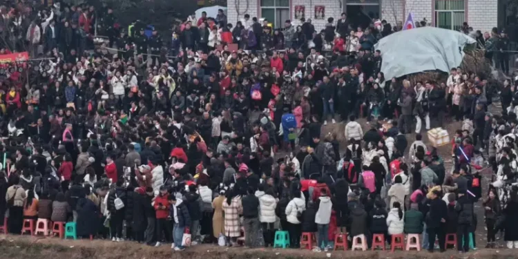 Китаянка в соцмережах попросила допомогти її батьку зарізати свиню на свято – приїхали ресторани, поліція і 3 тис. людей