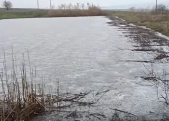 Смердить тухлими яйцями. На Миколаївщині виявили скид в ґрунт промислових стоків (ВІДЕО)