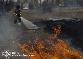Які пожежі на Миколаївщині гасили протягом доби