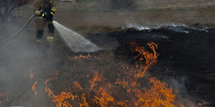 Які пожежі на Миколаївщині гасили протягом доби