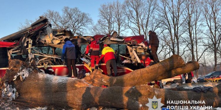 Автобус Відень-Київ з’їхав з траси і врізався у відбійник і дерево – 7 пасажирів у лікарні (ФОТО, ВІДЕО)