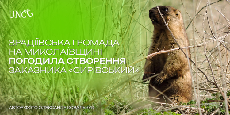 На Миколаївщині зроблено перший крок для збереження єдиної в регіоні колонії бабака
