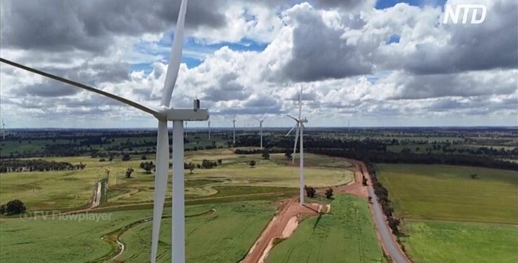 Шкода, що вони не можуть поділитися, – в Австралії нікуди дівати «зелену» енергію