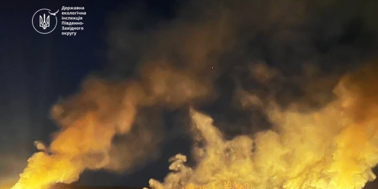 У грудні 2025 року шкода довкіллю внаслідок пожеж, викликаних російськими обстрілами Миколаївщини, склала понад 253 тис.грн.