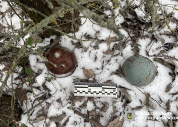 У Баштанському районі Миколаївщини поліцейські вибухотехніки знищили ворожі суббоєприпаси до крилатої ракети (ФОТО, ВІДЕО)