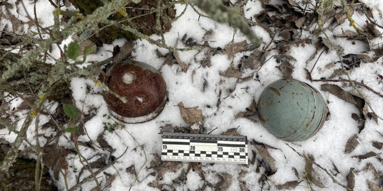 У Баштанському районі Миколаївщини поліцейські вибухотехніки знищили ворожі суббоєприпаси до крилатої ракети (ФОТО, ВІДЕО)