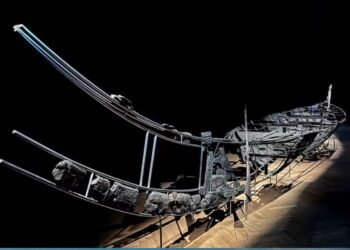 Загадкова мумія і зуб солдата Наполеона. Історичні загадки, розгадані наукою у 2025 році