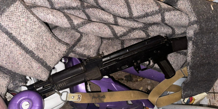 На Миколаївщині чоловік під час сімейної сварки потягнувся за автоматом, але теща була не промах (ФОТО)