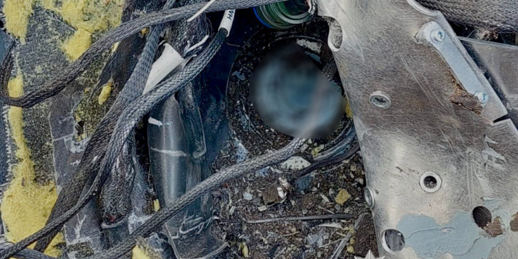 На Миколаївщині поліцейські вибухотехніки знищили бойову частину ворожого БпЛА (ФОТО, ВІДЕО)