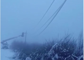 На Одещині через намерзання льоду рвуться і падають електромережі (ВІДЕО)