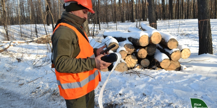 Українці вже купили рекордну кількість деревини для опалення. Але дрова – не газ, всім вистачить