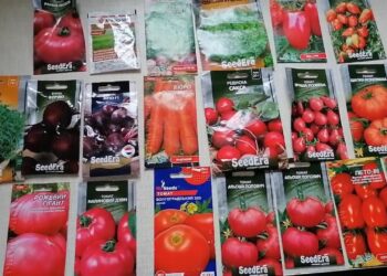 Готуємось до весни. Як купити насіння овочів і не попастися на обман продавців