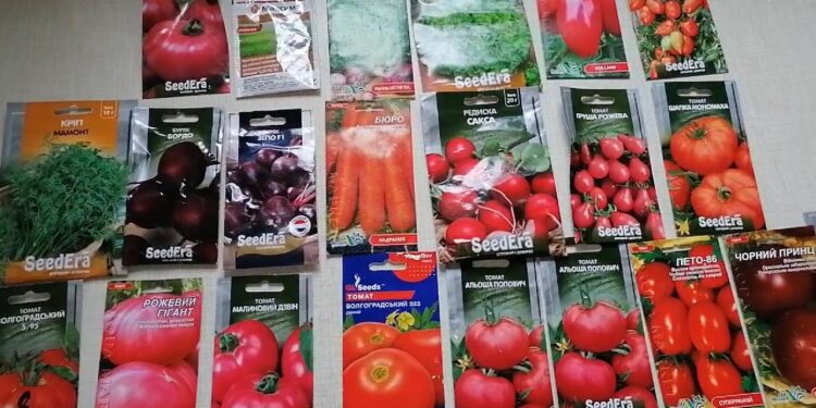 Готуємось до весни. Як купити насіння овочів і не попастися на обман продавців
