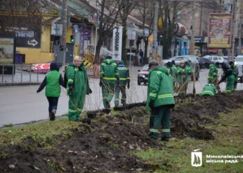 У прифронтовому Миколаєві з технічною водою в кранах висадили 310 дерев та 21695 квітів