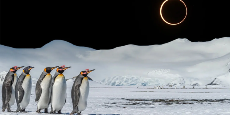 Вже завтра дуже особливе “затемнення вогняного кільця”, перше сонячне у цьому році