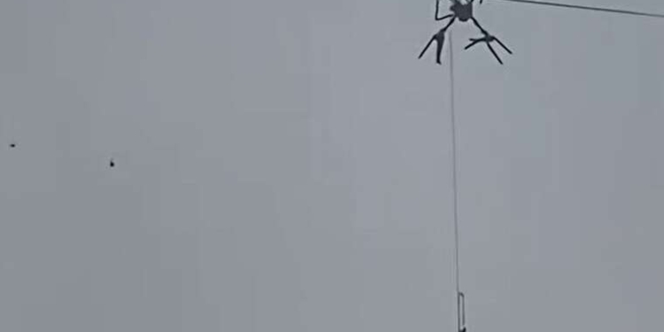 Китайський фермер відправив свиню на бійню – дроном. Свиня не хотіла помирати і лишила всіх без світла (ВІДЕО)