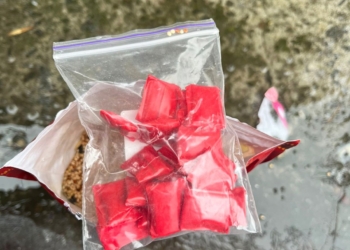 У Миколаєві затримали місцеву мешканку, яка збувала психотропи (ФОТО)