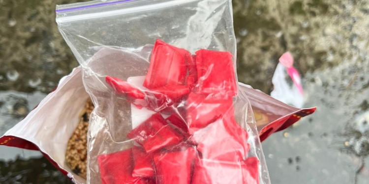 У Миколаєві затримали місцеву мешканку, яка збувала психотропи (ФОТО)