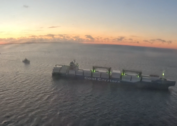 У Естонії затримали російський контейнеровоз – підозрюють контрабанду (ФОТО)