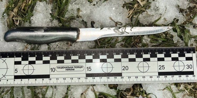 На Миколаївщині затримали 21-річного молодика – він за один вечір намагався вбити друга і зґвалтував 60-річну жінку