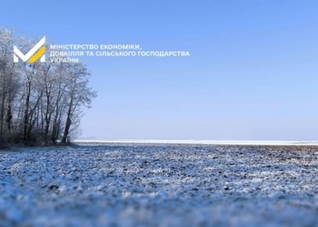 Пікові морози не матимуть критичного впливу на майбутній врожай – Мінекономіки