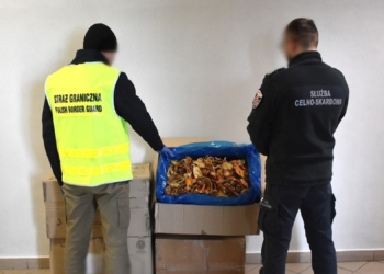 У Польщі перехопили 34 кг сушених мухоморів, відправлених до Латвії з України (ФОТО)