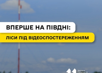 У трьох лісництвах на Миколаївщині запрацює система відеоспостереження