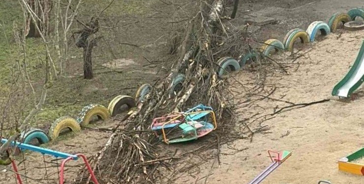 Через негоду у Миколаєві впало 30 дерев – 26 з них вже прибрали