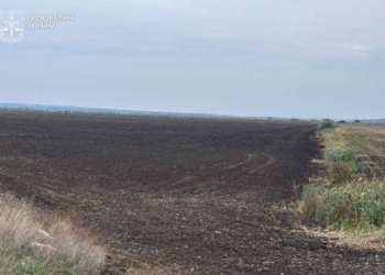На Миколаївщині підприємець незаконно осушив понад 150 га нагульних ставків – тепер вони повернуті громаді (ФОТО)