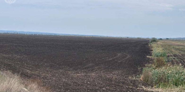 На Миколаївщині підприємець незаконно осушив понад 150 га нагульних ставків – тепер вони повернуті громаді (ФОТО)