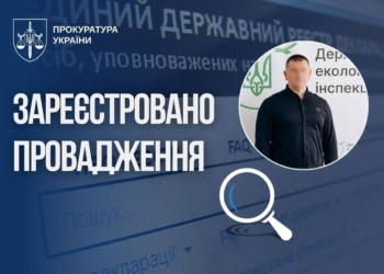 Очільника Держекоінспекції, який “знайшов” $653 тис. у бабусиному гаражі, перевірить ДБР