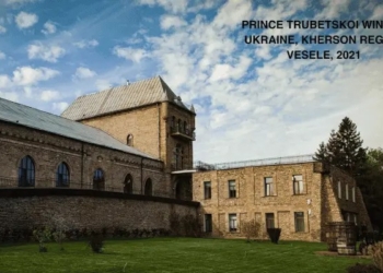 Російські загарбники вщент зруйнували виноробню Трубецького на Херсонщині (ВІДЕО)