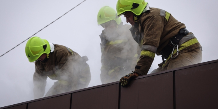 У Миколаєві горів зоомагазин