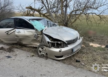 Загибла та травмований внаслідок ДТП – поліцейські встановлюють обставини автопригоди на Миколаївщині