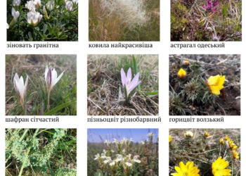 На Миколаївщині створено охоронні зони для збереження об’єктів Червоної книги України (ФОТО)