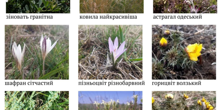 На Миколаївщині створено охоронні зони для збереження об’єктів Червоної книги України (ФОТО)