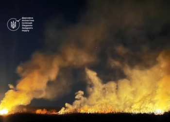 Збитки атмосферному повітрю від пожеж після обстрілів Миколаївщини у січні 2026 року перевищили 1,6 млн.грн.