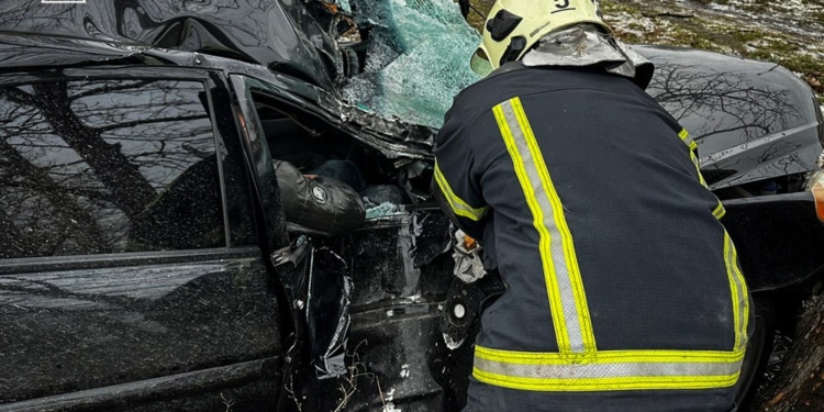 У Миколаєві на Богоявленському Hyundai влетів у дерево (ФОТО)