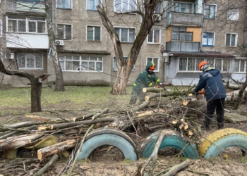 У Миколаєві дощ і сильний вітер повалив дерева та поламав гілки (ФОТО)
