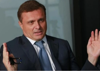 Продаж Карпат за безцінь. ОГП і ДБР почали розслідування, як Льовочкіну вдалося купити 460 га на полонині Боржава