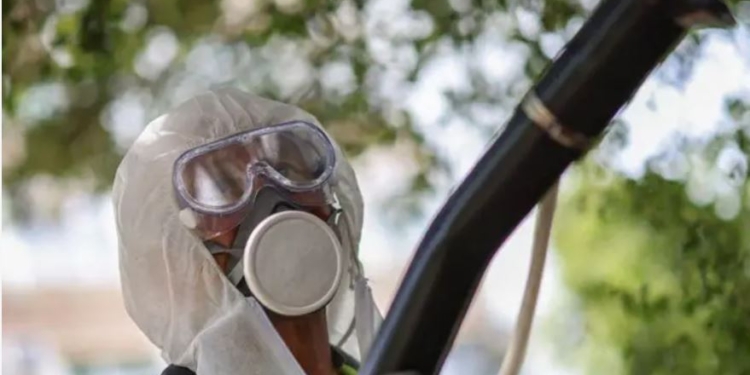 Небезпечний тропічний вірус загрожує Європі. Як захиститися