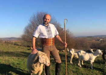 Всі в гори. Відновлення вівчарства може приносити $20 млрд – Катар готовий купувати 1,5 млн голів баранів щороку