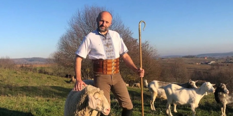 Всі в гори. Відновлення вівчарства може приносити $20 млрд – Катар готовий купувати 1,5 млн голів баранів щороку