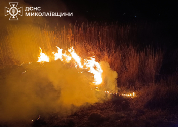 За добу на Миколаївщині зареєстровано дев’ять пожеж – більшість спалахнули в екосистемах