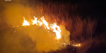 За добу на Миколаївщині зареєстровано дев’ять пожеж – більшість спалахнули в екосистемах